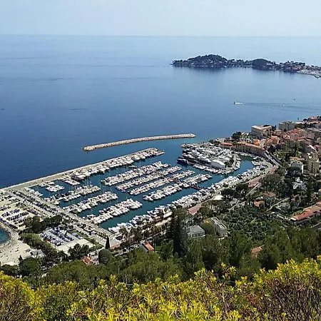 Sunny Charming Heart Of